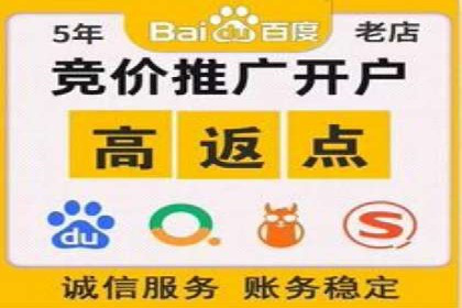 百度推广策略优化：实战案例剖析